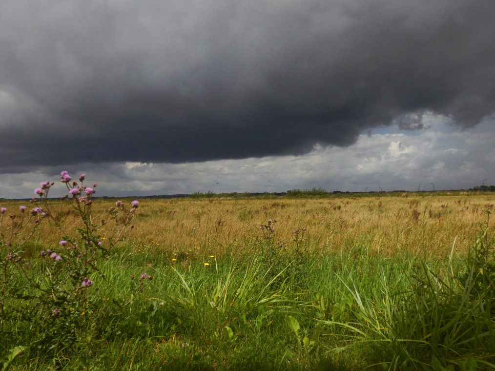 Rainstorm clouds in the prairie